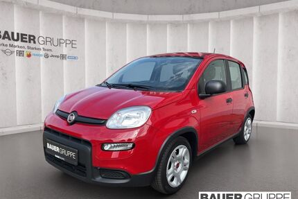 Fiat Panda Gebrauchtwagen