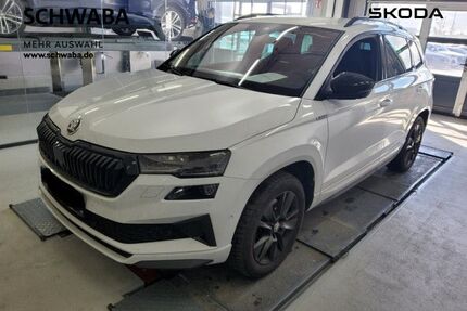 Skoda Karoq Gebrauchtwagen