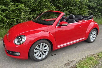 VW Beetle Gebrauchtwagen