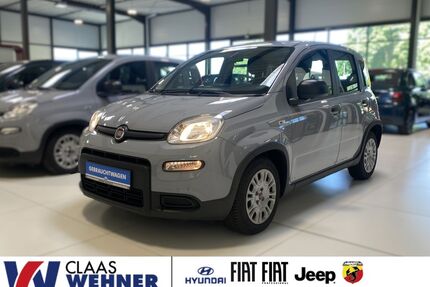 Fiat Panda Gebrauchtwagen