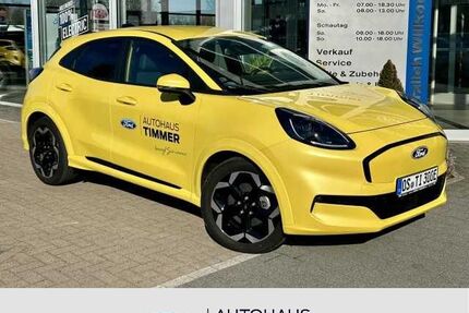 Ford Puma Gebrauchtwagen