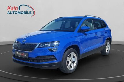 Skoda Karoq Gebrauchtwagen