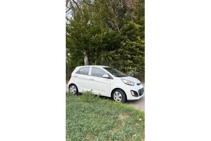 Kia Picanto Gebrauchtwagen