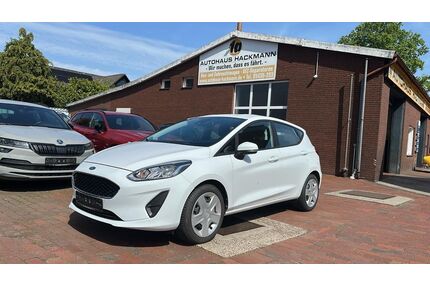 Ford Fiesta Gebrauchtwagen