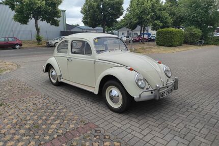 VW Käfer Gebrauchtwagen