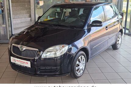 Skoda Fabia Gebrauchtwagen