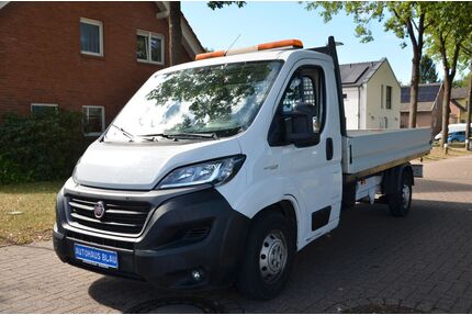Fiat Ducato Gebrauchtwagen