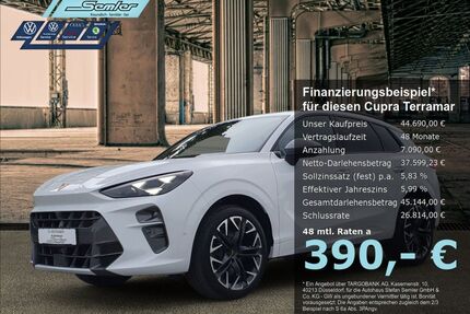 Cupra Terramar Gebrauchtwagen