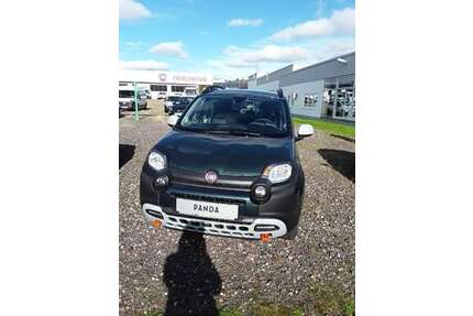 Fiat Panda Gebrauchtwagen