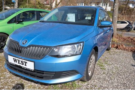 Skoda Fabia Gebrauchtwagen