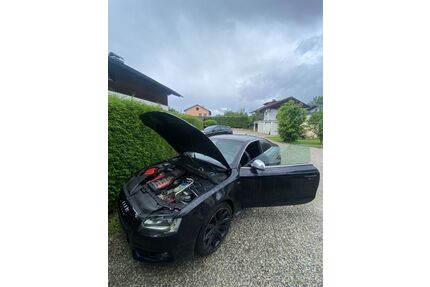 Audi S5 Gebrauchtwagen