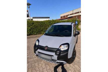 Fiat Panda Gebrauchtwagen