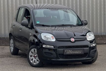 Fiat Panda Gebrauchtwagen