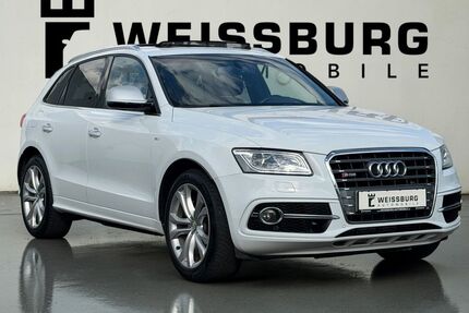 Audi SQ5 Gebrauchtwagen