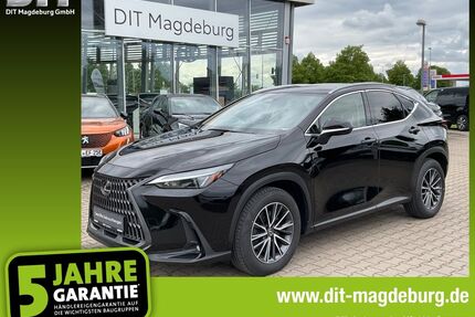 Lexus NX 450h Gebrauchtwagen