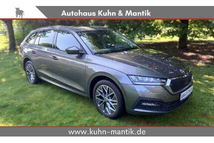 Skoda Octavia Gebrauchtwagen