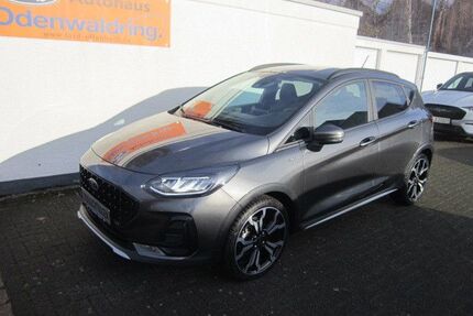 Ford Fiesta Gebrauchtwagen