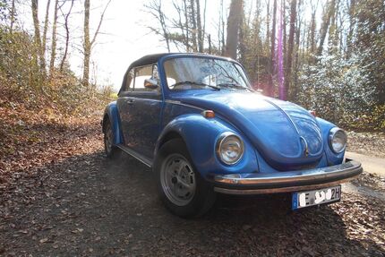 VW Käfer Gebrauchtwagen