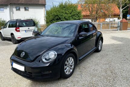 VW Beetle Gebrauchtwagen