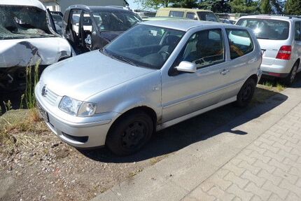VW Polo Gebrauchtwagen