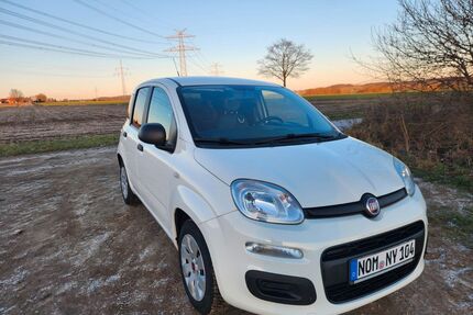 Fiat Panda Gebrauchtwagen
