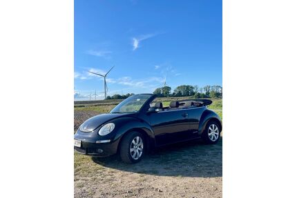 VW Beetle Gebrauchtwagen