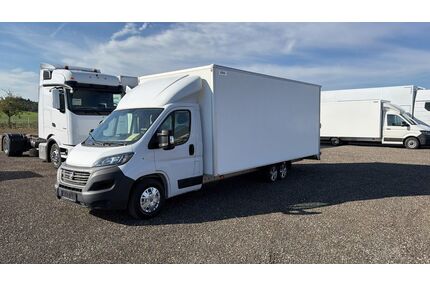 Fiat Ducato Gebrauchtwagen