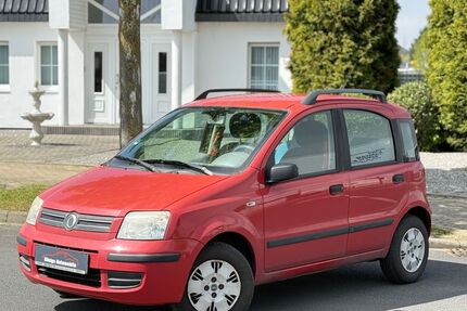 Fiat Panda Gebrauchtwagen