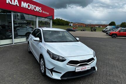 Kia ceed / Ceed Gebrauchtwagen