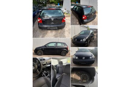 VW Polo Gebrauchtwagen