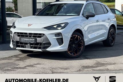 Cupra Terramar Gebrauchtwagen