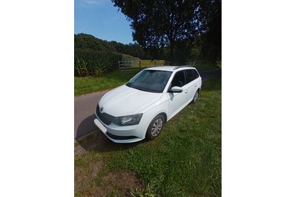 Skoda Fabia Gebrauchtwagen