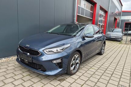 Kia ceed / Ceed Gebrauchtwagen