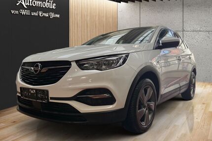 Opel Grandland (X) Gebrauchtwagen