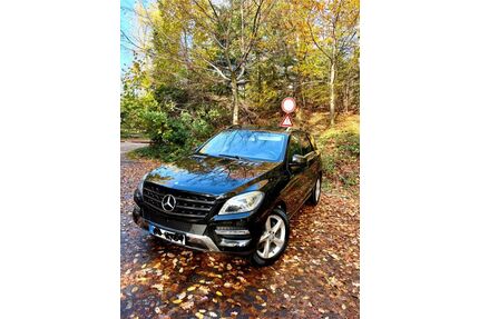 Mercedes-Benz ML 250 Gebrauchtwagen