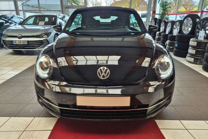VW Beetle Gebrauchtwagen