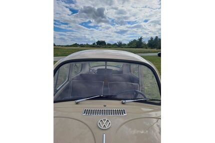 VW Käfer Gebrauchtwagen