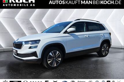 Skoda Karoq Gebrauchtwagen