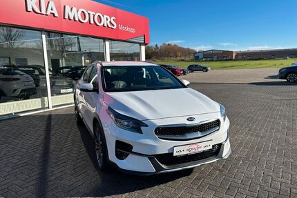 Kia XCeed Gebrauchtwagen