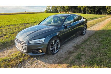 Audi A5 Gebrauchtwagen