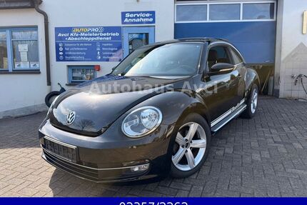 VW Beetle Gebrauchtwagen