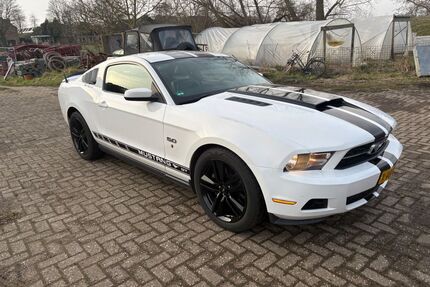Ford Mustang Gebrauchtwagen