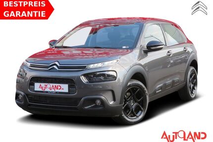Citroen C4 Cactus Gebrauchtwagen