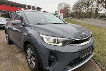 Kia Stonic Gebrauchtwagen