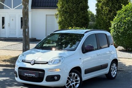 Fiat Panda Gebrauchtwagen