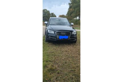 Audi SQ5 Gebrauchtwagen