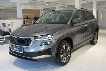 Skoda Karoq Gebrauchtwagen