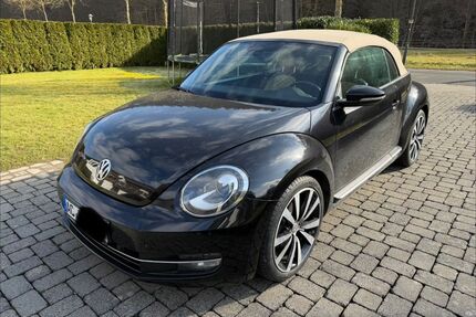 VW Beetle Gebrauchtwagen