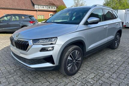 Skoda Karoq Gebrauchtwagen