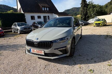 Skoda Scala Gebrauchtwagen